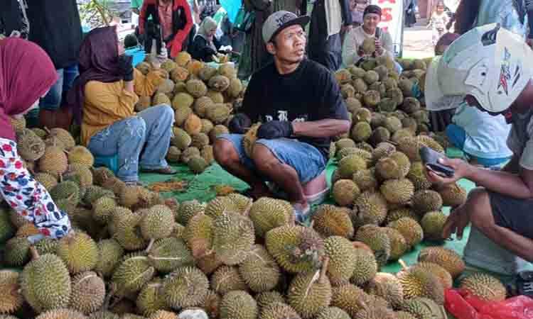 Musim Durian di Kotim, Ahli Gizi Ingatkan Konsumsi Secukupnya untuk Jaga Kesehatan