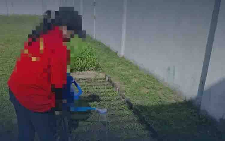 WBP Lapas Perempuan Palangka Raya Sulap Lahan Kosong Jadi Kebun Kangkung