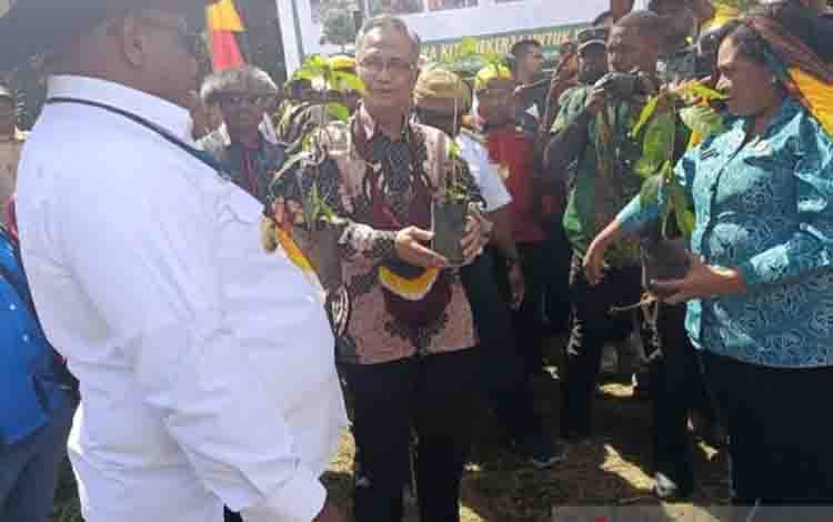 Sektor UMKM Dinilai Menjadi Solusi bagi Pemda Membuka Lapangan Kerja