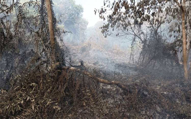 Karhutla 5 Hektare di Eka Bahurui Belum Padam, BPBD Kotim Terkendala Jarak Sumber Air
