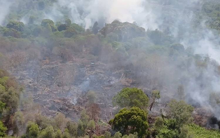 BPBD Kotim Usulkan Bantuan Water Bombing untuk Padamkan Karhutla di Eka Bahurui
