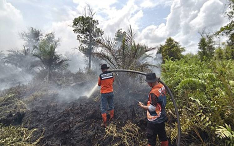 Tumbang Nusa Jadi Titik Karhutla Terparah di Pulang Pisau bahkan Belum Bisa Dipadamkan