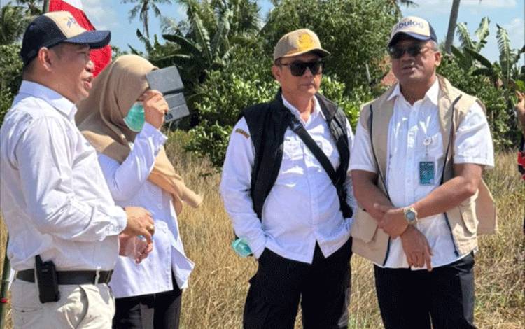 BULOG Kalteng Komitmen Optimalkan Serapan Gabah Petani
