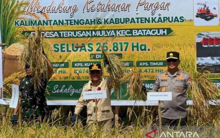 Gubernur Kalteng Sebut Kapuas Punya Peran Besar Dukung Swasembada Pangan