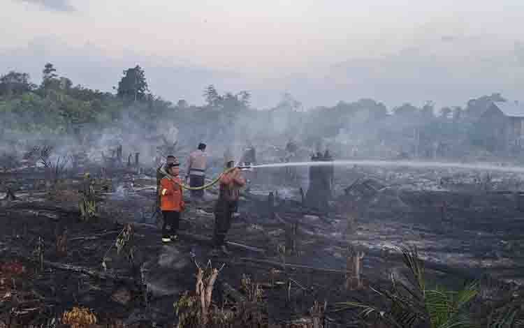 BPBD Lamandau Ungkap Penyebab Karhutla di Batu Kotam, Api Berhasil Dipadamkan