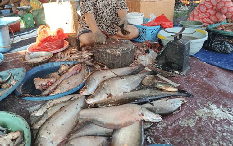 DPRD Dorong Ikan Pipih Khas Palangka Raya Bertransformasi Jadi Oleh-Oleh Unggulan