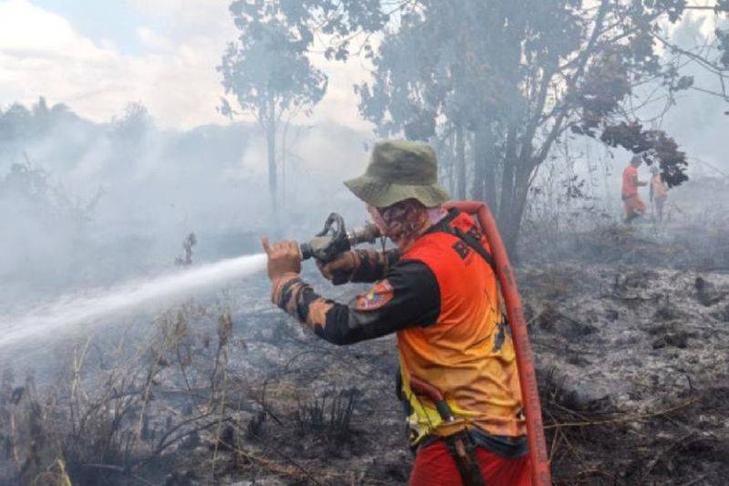 BPBD Kobar Tangani Karhutla Seluas 113,51 Hektare di 63 Lokasi