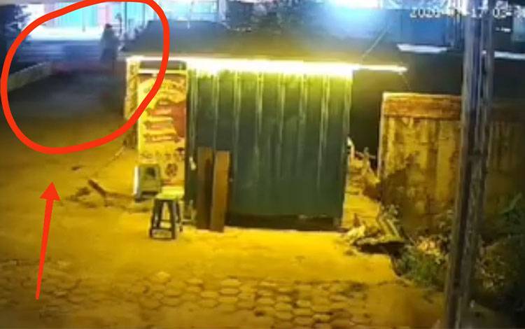Marak Penembakan Anjing Peliharaan di Palangka Raya, Puskeswan: Sindikat Pencurian