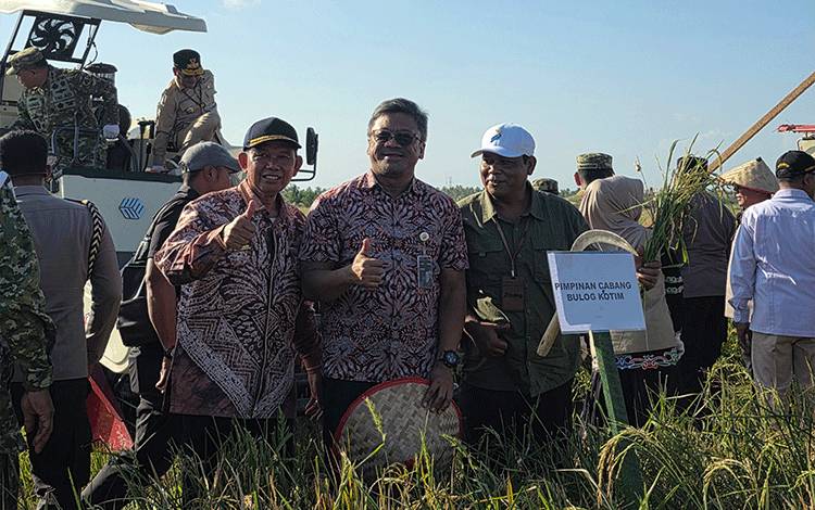 BULOG Kalteng Serap 17.793 Ton Gabah, Realisasi Pengadaan Capai 58 Persen