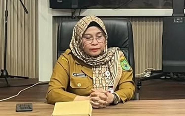 Direktur RSUD Kapuas: Tidak Ada Pembiaran, Kami Sudah Berupaya Maksimal Perbaiki Genset