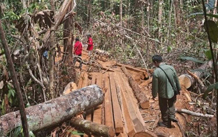 Kemenhut Perkuat Pengamanan Kawasan Hutan Eks PBPH di 4 Provinsi, Termasuk Kalteng