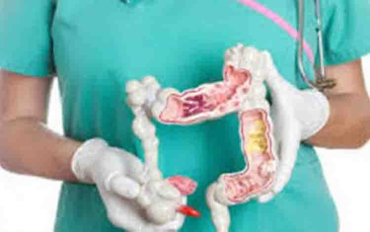 Menjaga Saluran Cerna Anak Demi Tumbuh Kembang Optimal