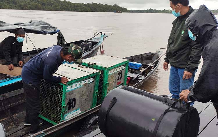 BUMDes Berkah Mulya Jaya: Manfaat Sertifikasi RSPO Dirasakan Lebih Luas