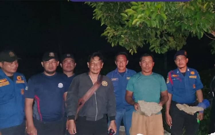 Sarang Tawon Vespa di Plafon Rumah Dievakuasi Damkar Seruyan