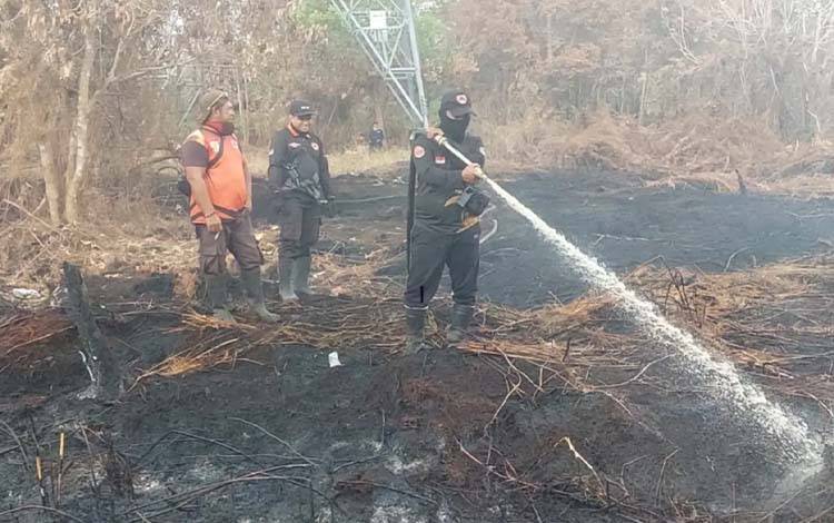 BPBD Catat 126 Kejadian Karhutla di Palangka Raya Sejak Awal Juni