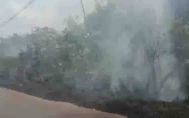 Vegetasi Semak di Kawasan Gerbang Desa Dadahup Terbakar Puluhan Meter hingga Asap Selimuti Jalan Poros