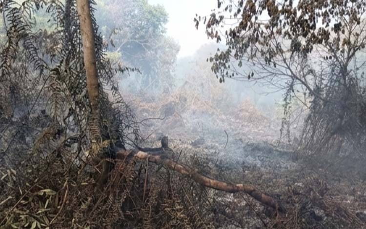 Perusahaan Diminta Bantu Cegah dan Tangani Karhutla