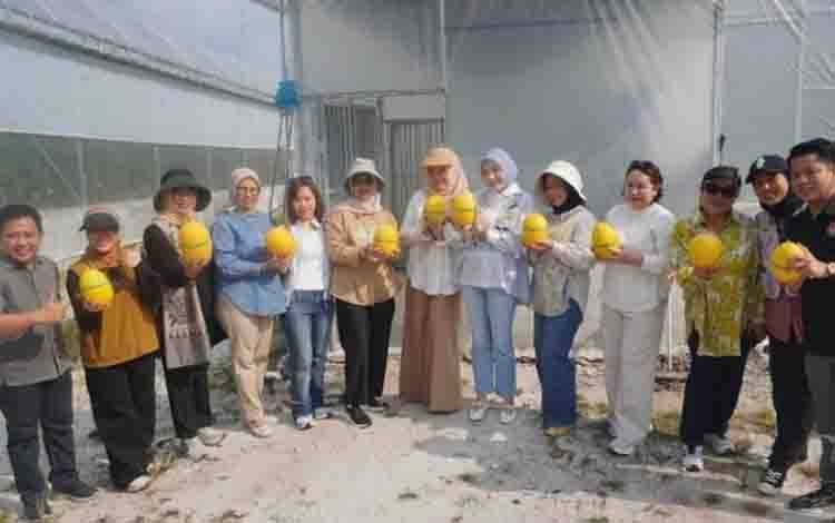 Aisyah Thisia Nilai Budidaya Melon Dukung Ketahanan Pangan Keluarga