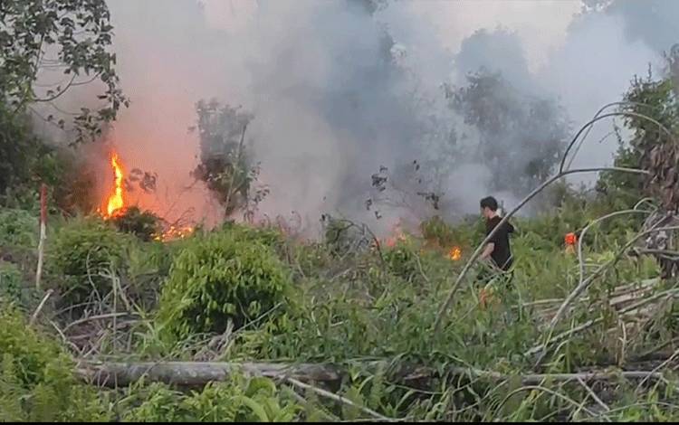 Kecamatan Baamang dan MB Ketapang Jadi Wilayah Terdampak Karhutla Terluas di Kotim