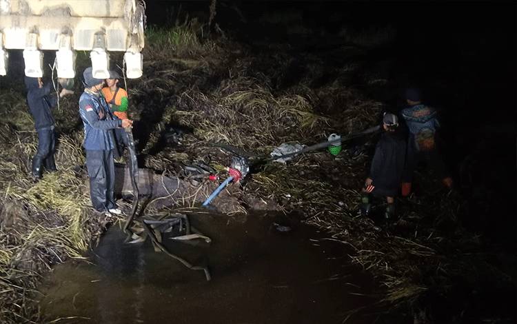 Berjuang Hingga Malam, Tim Gabungan Pastikan Api Tak Merambat ke Hutan Produksi