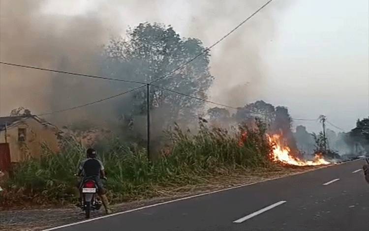 Karhutla Ancam Rambah Rumah Warga di Muara Dadahup Kapuas