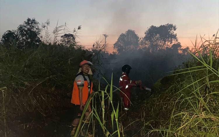 Setengah Hektare Lahan Terbakar di Basarang