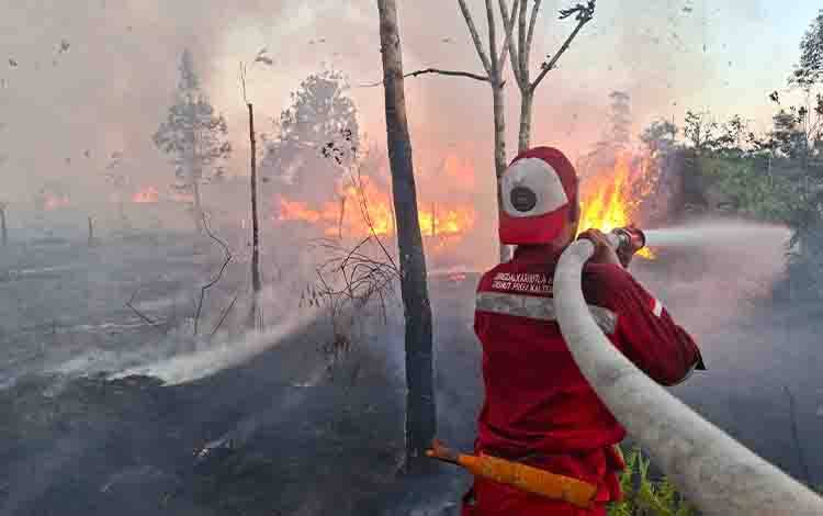 Brigdalkarhut Gabungan Padamkan Karhutla 3 Hektare di Desa Timpah
