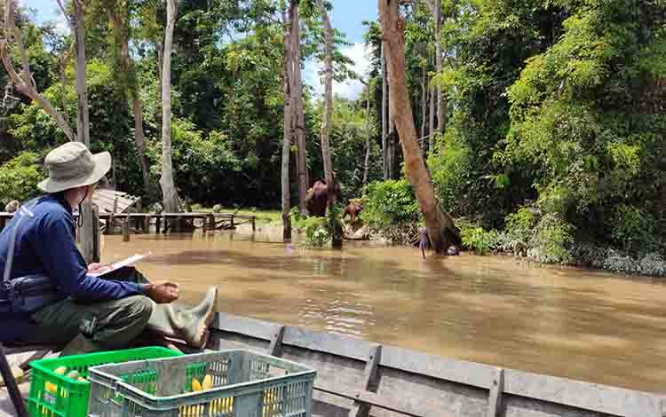 SSMS Bangun Strategi Net Zero dari Pengelolaan Limbah hingga Perlindungan Orangutan