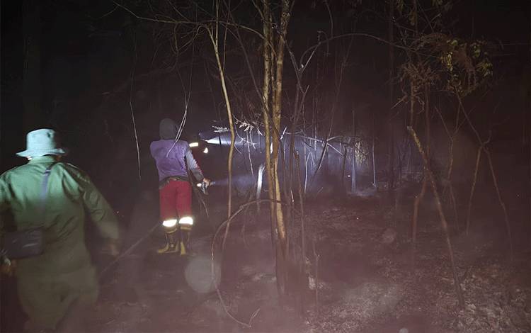 Sinergi Dua Brigdalkarhut Padamkan Karhutla di Timpah, Hadapi Kendala Minim Sumber Air