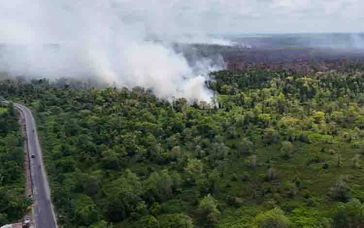 Tekan Risiko Karhutla, Dishut Kalteng Manfaatkan Drone Pantau Kawasan Tahura Setiap Dua Jam
