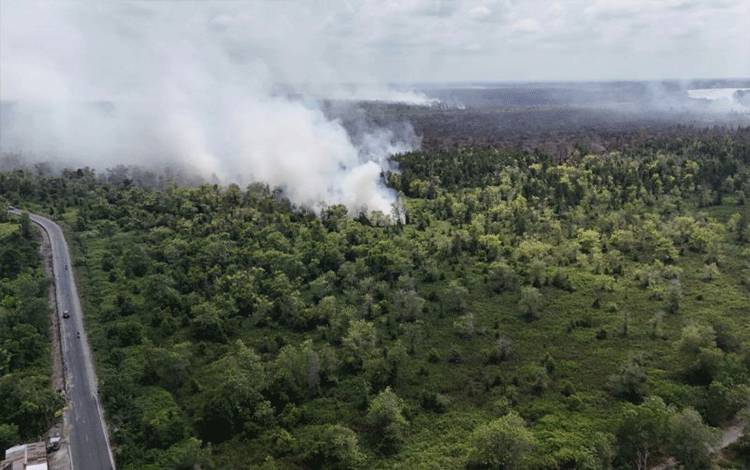 Dishut Kalteng Optimalkan Patroli Drone Pantau Titik Api