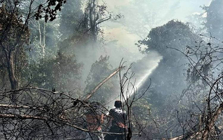 Karhutla Kembali Terjadi di Barito Utara, Total Lahan Terbakar Capai 1,4 Hektar