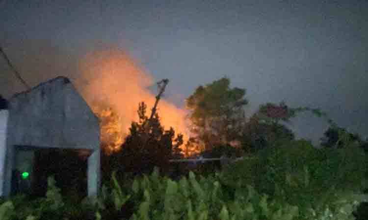 Disdamkarmat Kotim Catat 27 Karhutla Dekati Permukiman dalam 9 Hari