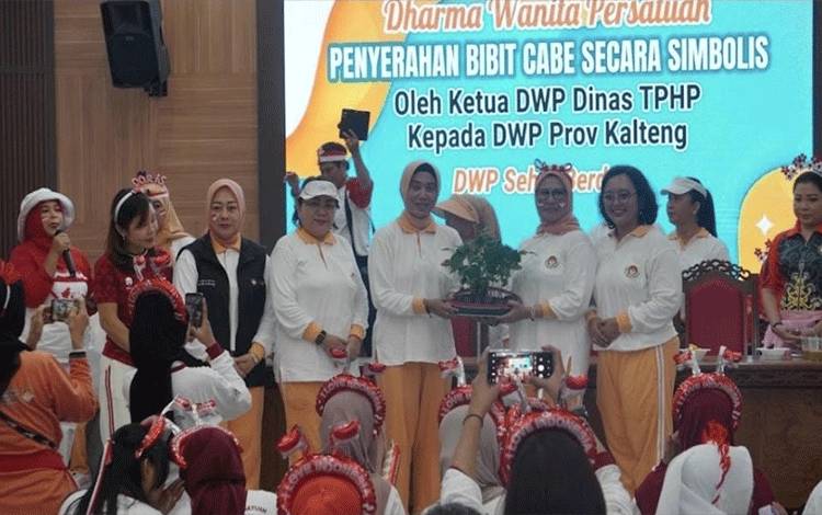 Bibit Cabai Diharapkan Penuhi Sebagian Kebutuhan Pangan Keluarga