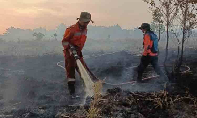 Data Terakhir Per-Agustus 2026, 173 Hotspot Terdeteksi di Kobar
