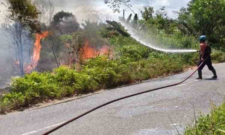 Kumai Catat 71 Hotspot dan 17 Karhutla, Luas Terbakar Capai 79,51 Hektare