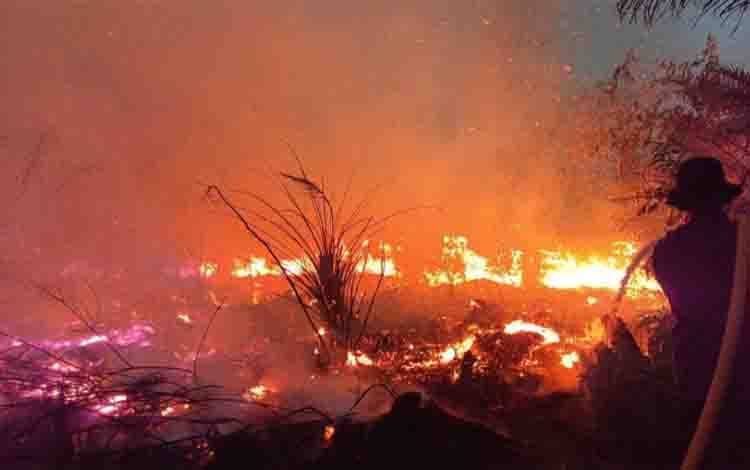 Ratusan Hektare Terbakar Dalam 2 Bulan, Kobar Masuk Status Tanggap Darurat Karhutla