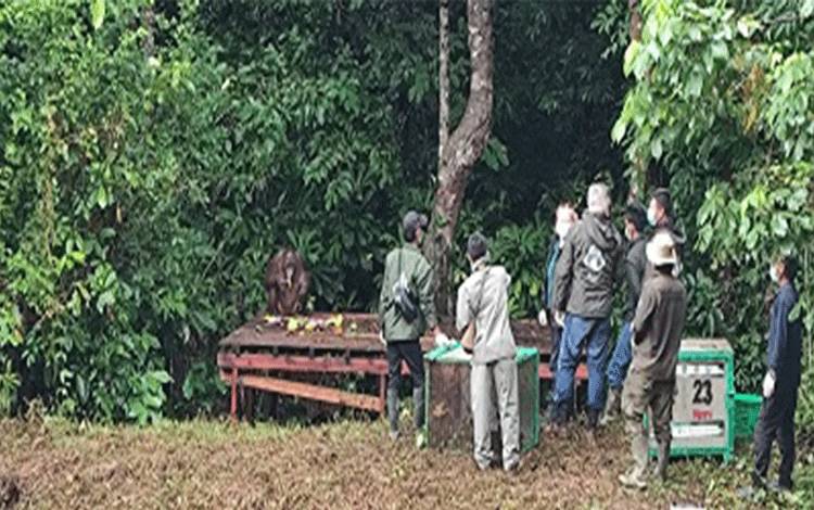 SSMS Jadikan Ketertelusuran 100 Persen sebagai Fondasi Rantai Pasok Berkelanjutan