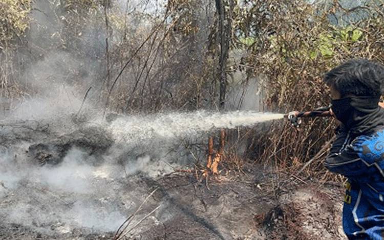 Karhutla di Desa Bukit Liti Pulang Pisau Berhasil Dipadamkan Tim gabungan Dalkarhutla