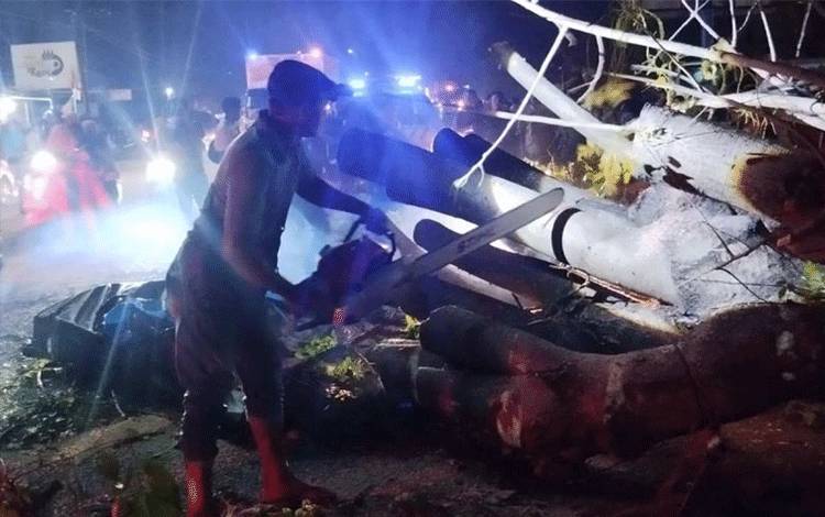 BPBD: Tujuh Warga Meninggal Dunia Tertimpa Pohon