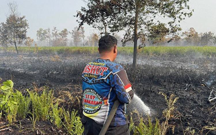 Dalkarhutla Dishut Kalteng Padamkan Karhutla di Petuk Ketimpun