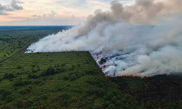 Karhutla Kian Meluas, Kobar Ajukan Bantuan Helikopter Water Bombing ke BNPB