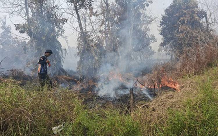 Meski Sumber Air Terbatas, Tim Dalkarhutla Tetap Maksimal Padamkan Karhutla di Tabat Kalsa