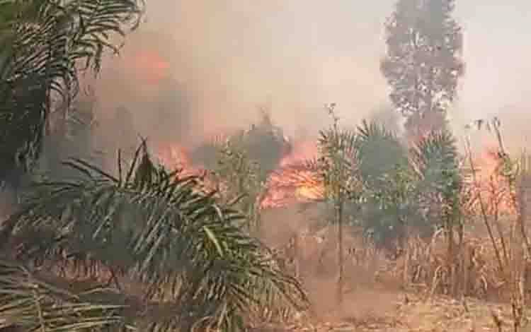 Pemadaman Karhutla Puluhan Hektare Kebun Sawit di Bagendang Tengah Terkendala Air