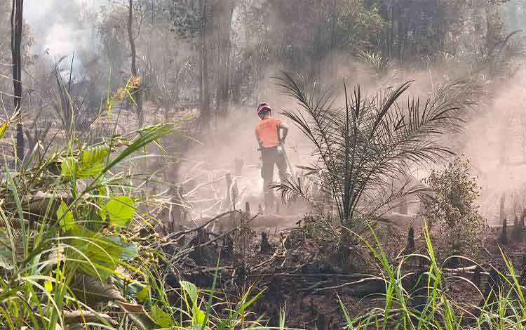 343 Hotspot Tercatat di Kapuas Hari Ini, Tertinggi Kedua di Kalteng
