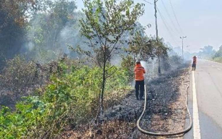 9 Titik Karhutla Ditangani BPBD Kapuas dan Tim Damkar Gabungan, Lahan Terbakar Capai Belasan Hektare