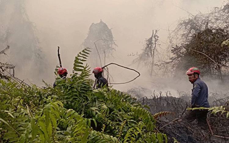 17 Titik Karhan Terjadi di Kotim dalam Sehari, BPBD Memohon Maaf Belum Dapat Tangani Semua