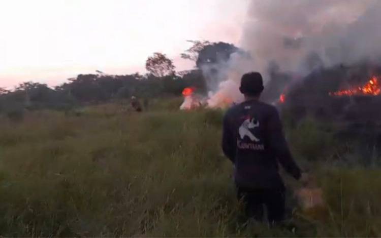 Kebakaran Lahan Kembali Terjadi di Kelurahan Bereng Pulang Pisau