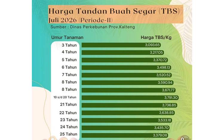 Harga TBS Sawit Kalteng Periode II Juli 2026 Capai Rp3.791 per Kilogram