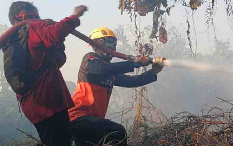 BPBD Catat 189 Kejadian Karhutla di Kobar dengan Luas Terbakar 859,49 Hektar